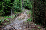KA_07_1_0960