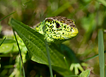 KA_100618_3965