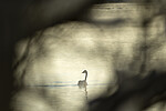 KA_191129_21