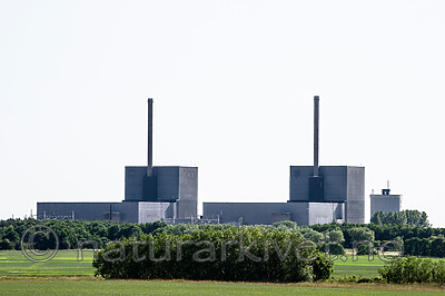BB_20160605_0248