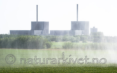 BB_20160605_0258