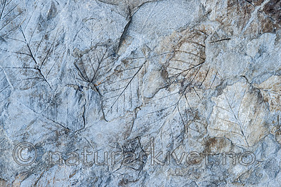BB_20170806_0352
