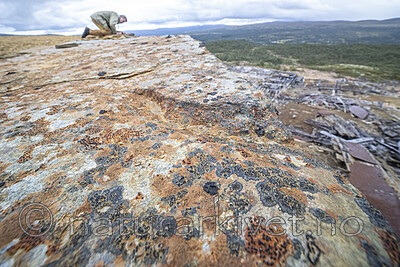 BB_20250903_0100 / Miriquidica pulvinatula <br /> Tremolecia atrata / Mønjelav