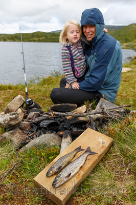 KA_130702_5174 / Salmo trutta / ørret