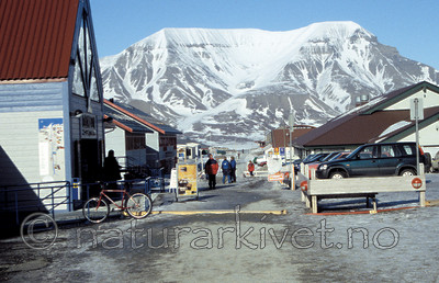 svalbard998