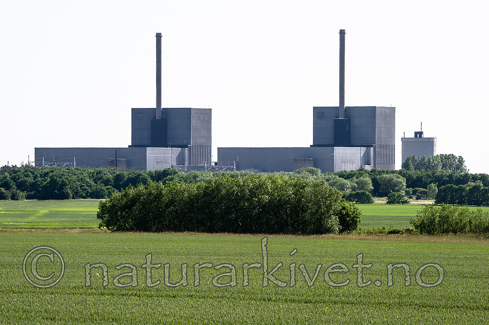 BB_20160605_0247