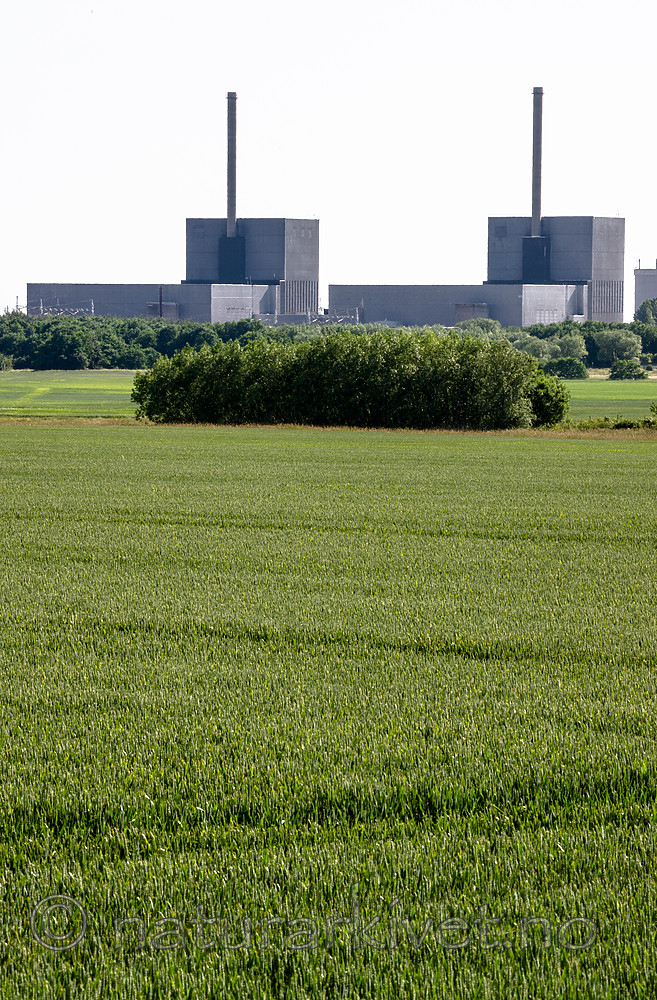 BB_20160605_0251