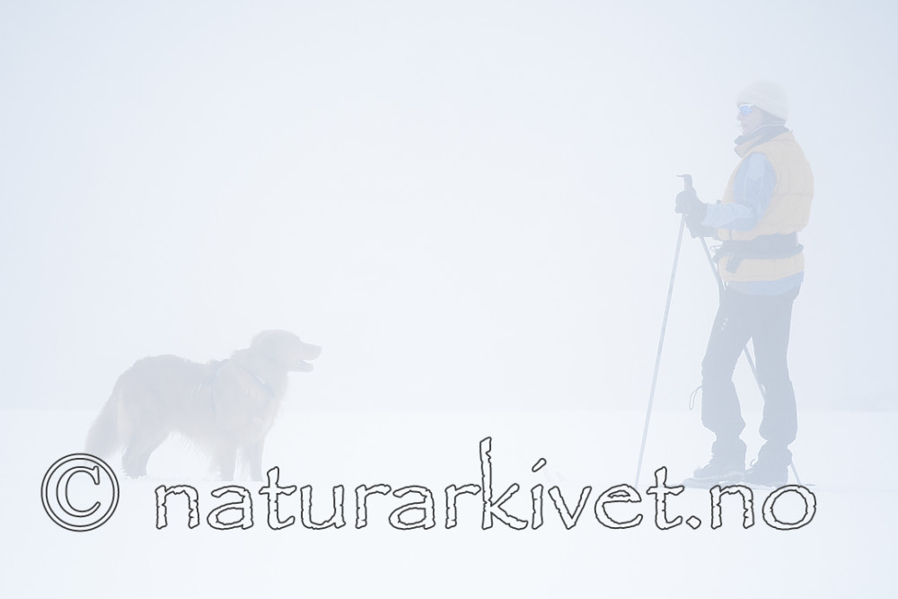 BB_20170401_0246 / Canis lupus familiaris / Hund