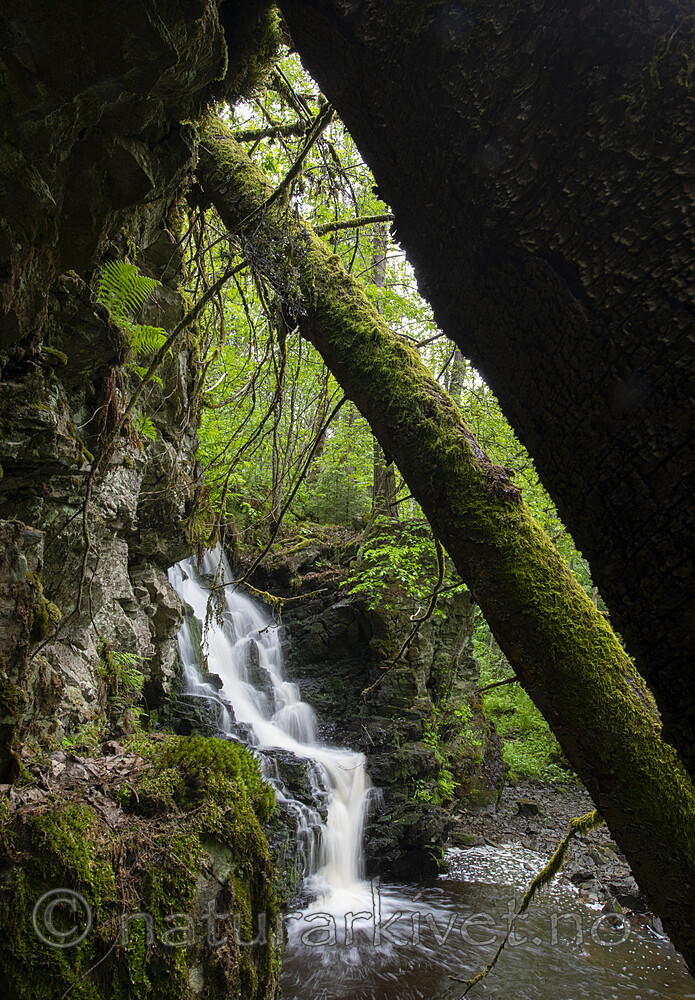 BB_20190530_0016