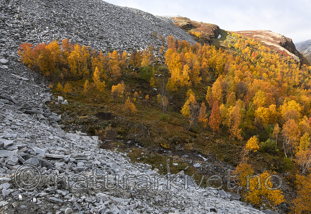 BB_20200925_0172