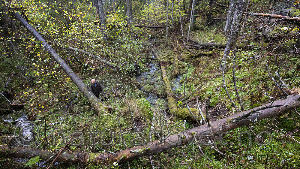 BB_20201021_0020