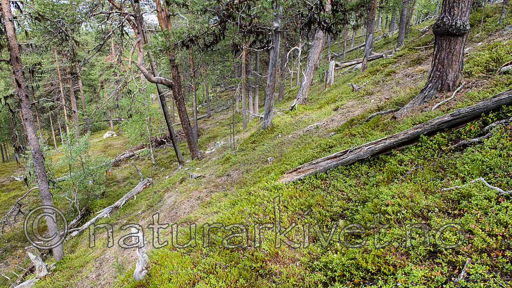 BB_20210621_0140