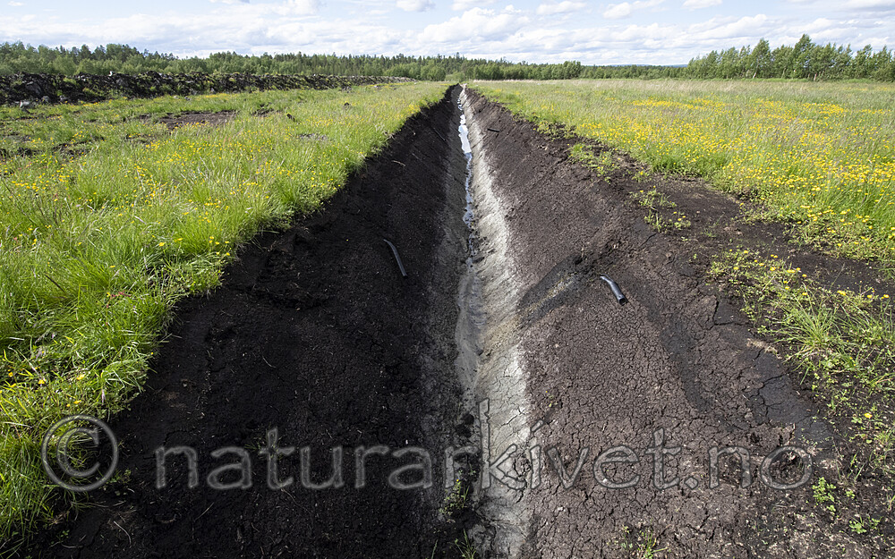 BB_20210622_0849