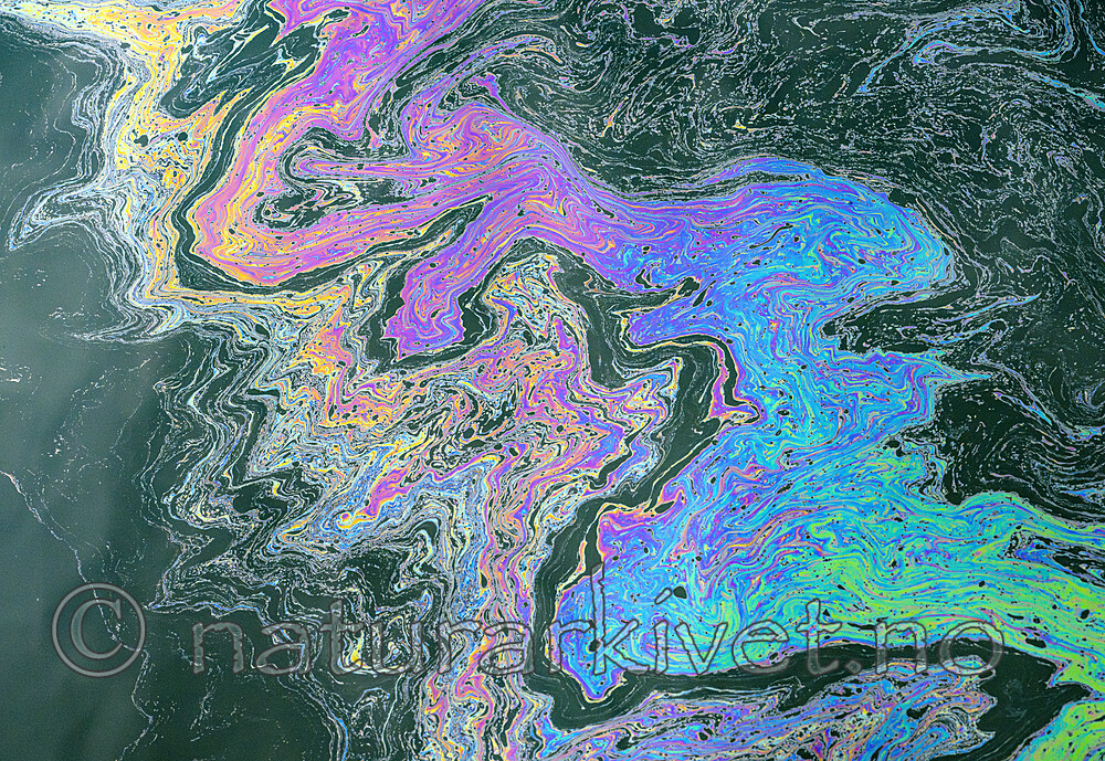 BB_20230705_0461-Forbedret-NR