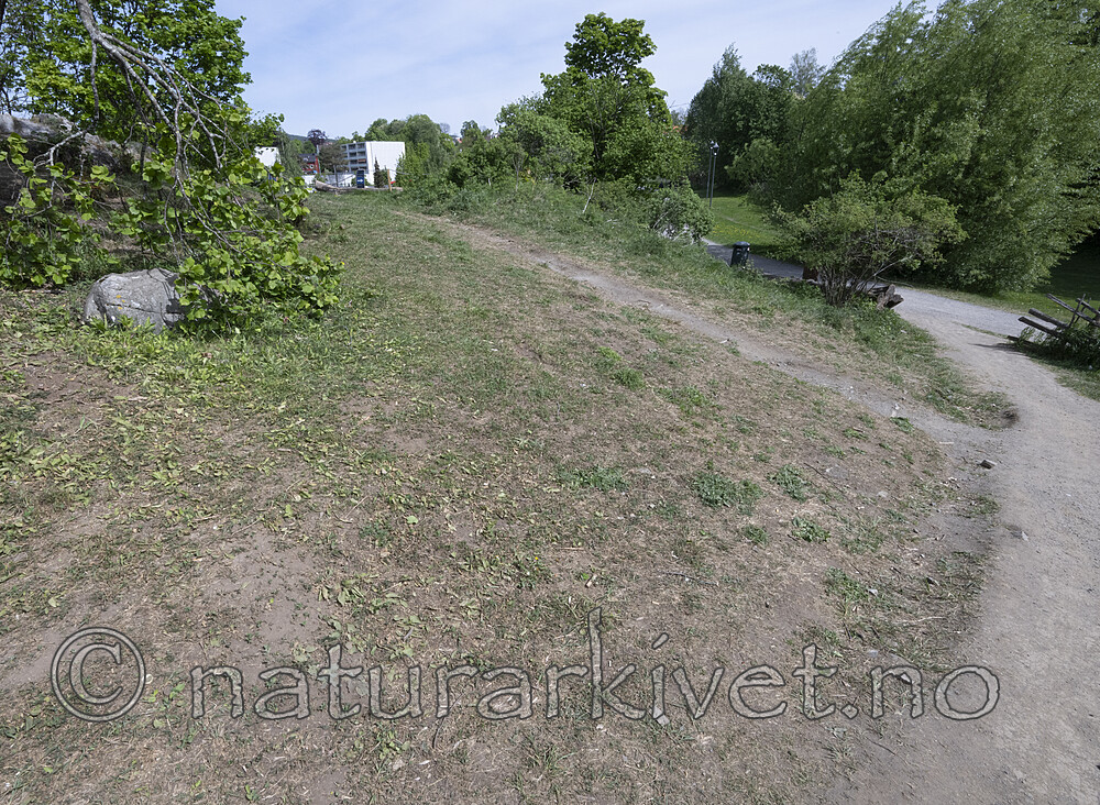 BB_20250514_0054