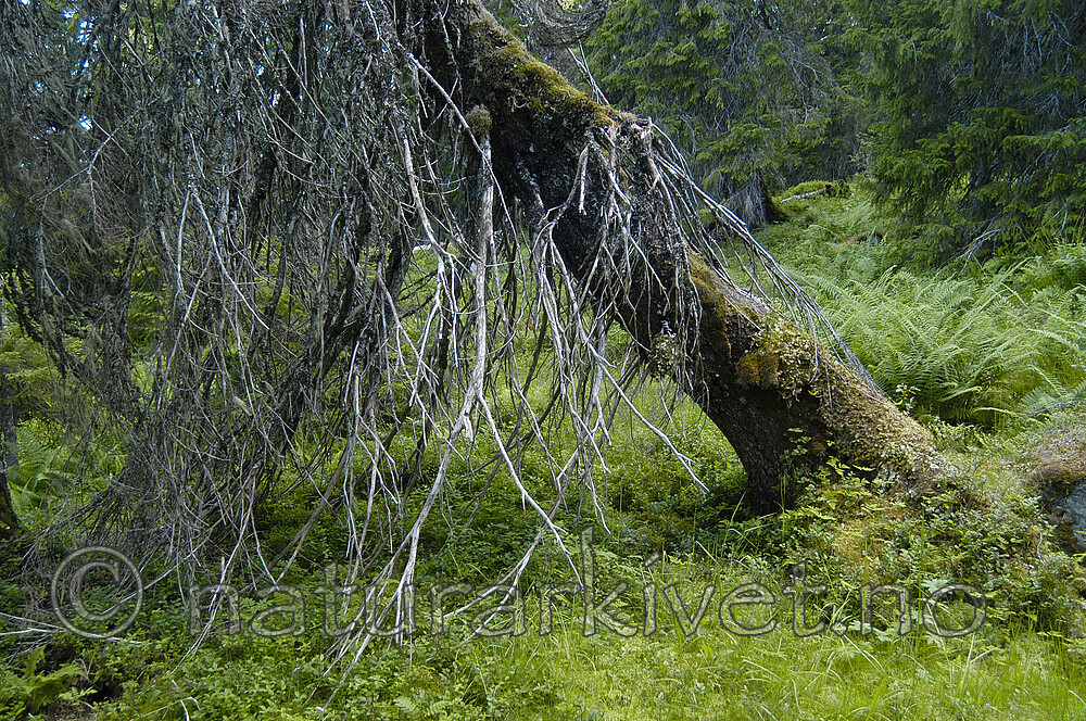 DSC_6057