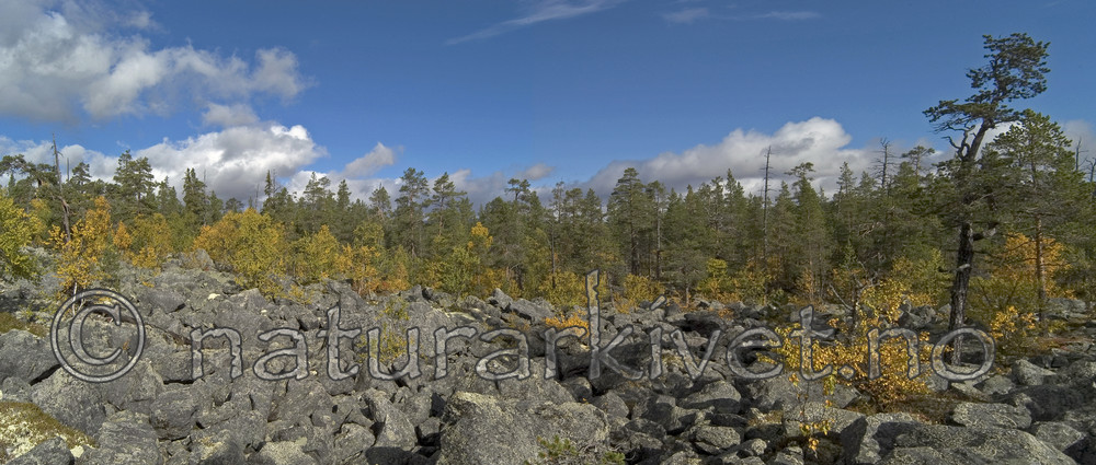 DSC_7033pano
