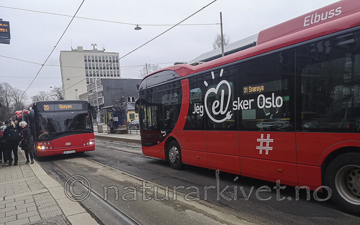 IMG_20200225_155054_1