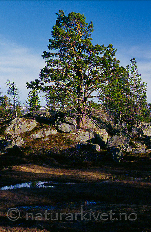 KA 01 00 0014