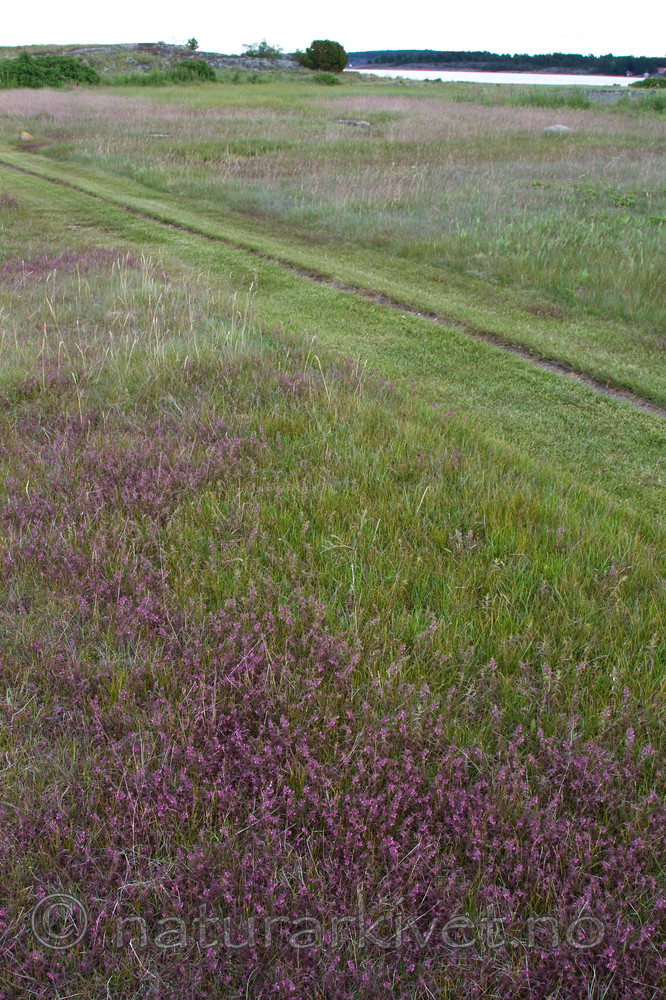 KA_100630_4929
