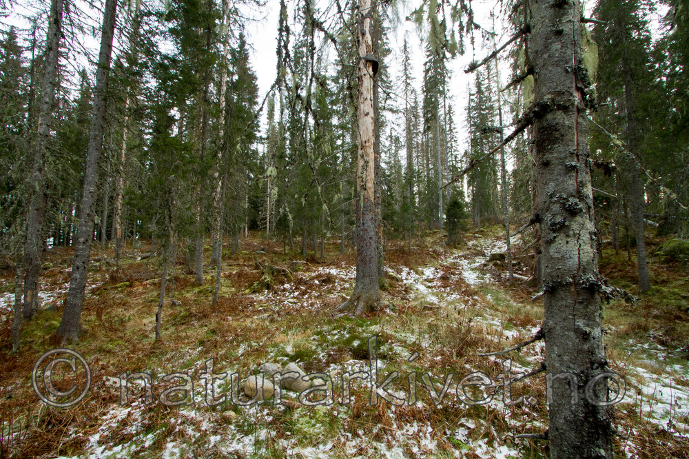 KA_101110_7025