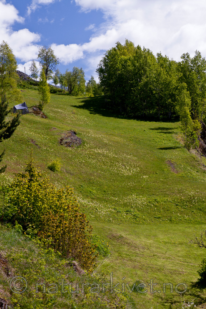 KA_110525_2694