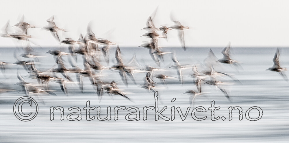 KA_120908_6128-2