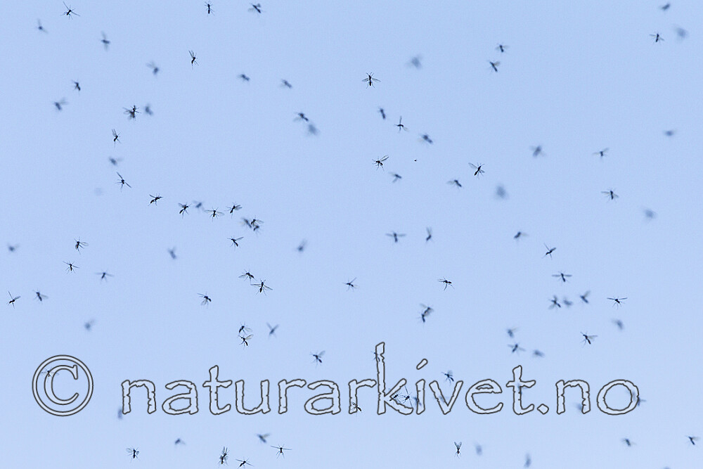 KA_120909_6141