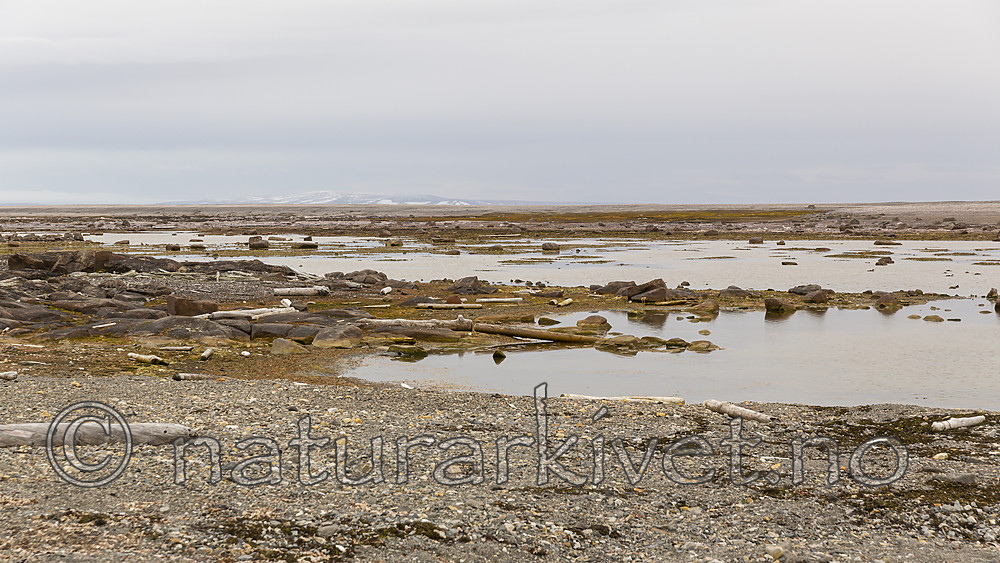 KA_130815_2956