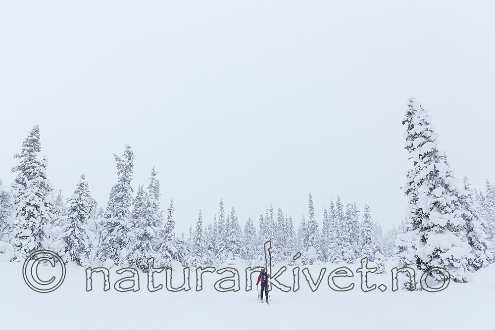 KA_140201_0209