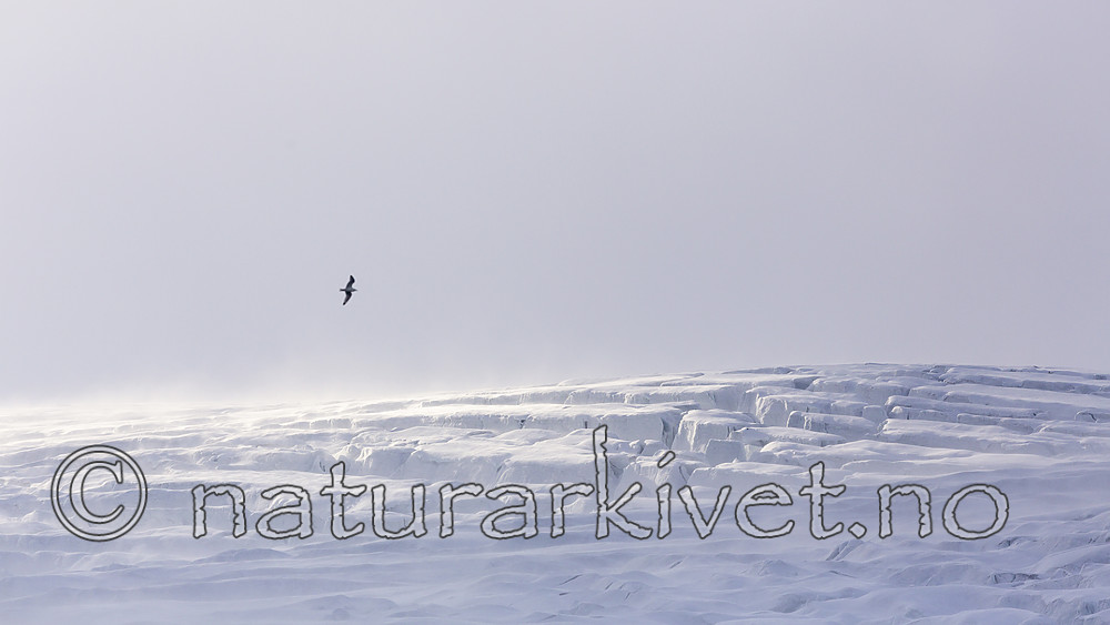 KA_140614_4858