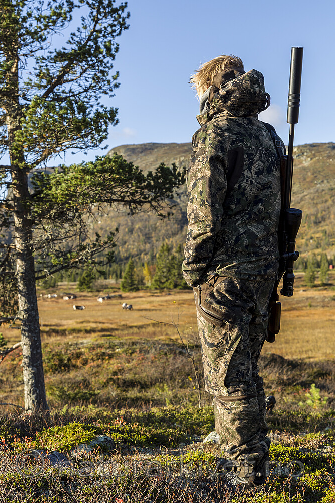 KA_140927_2794 / Rangifer tarandus / Rein