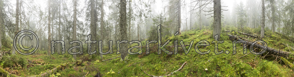 KA_141006_p4263-4274