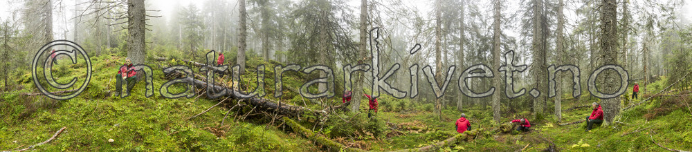 KA_141006_p4275-4293