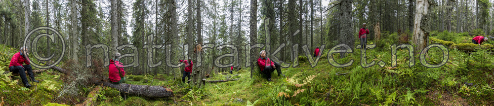 KA_141006_p4385-4397