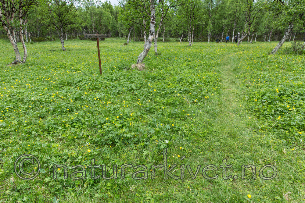 KA_150709_30