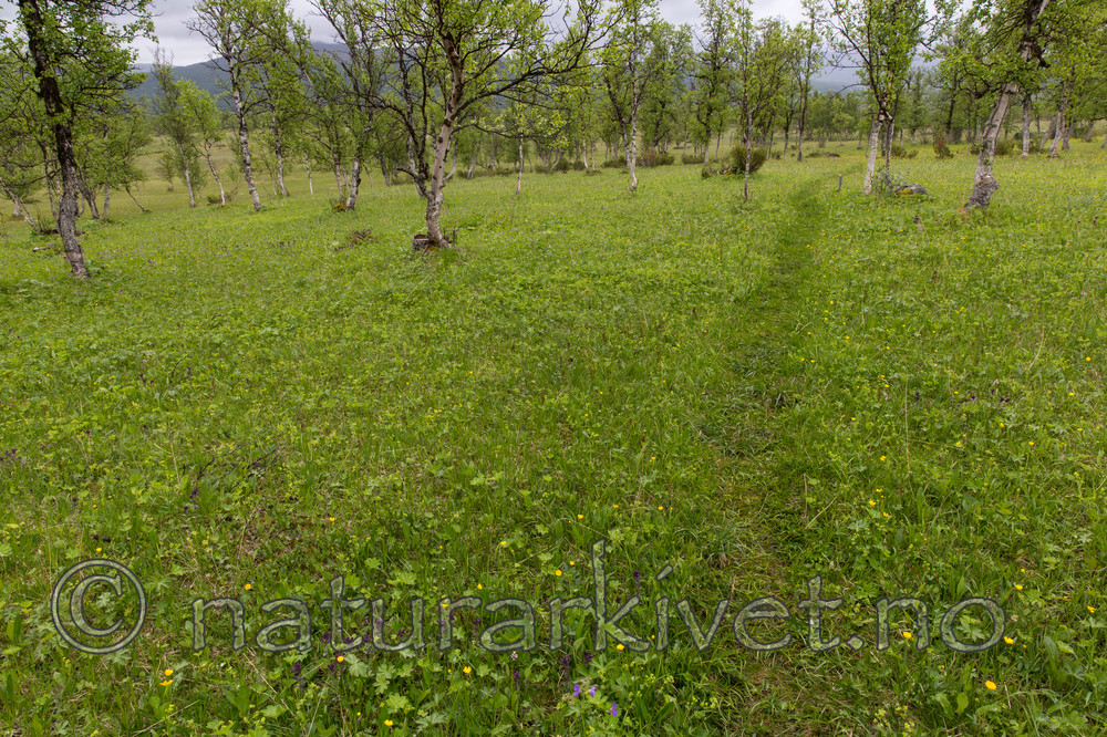 KA_150709_41