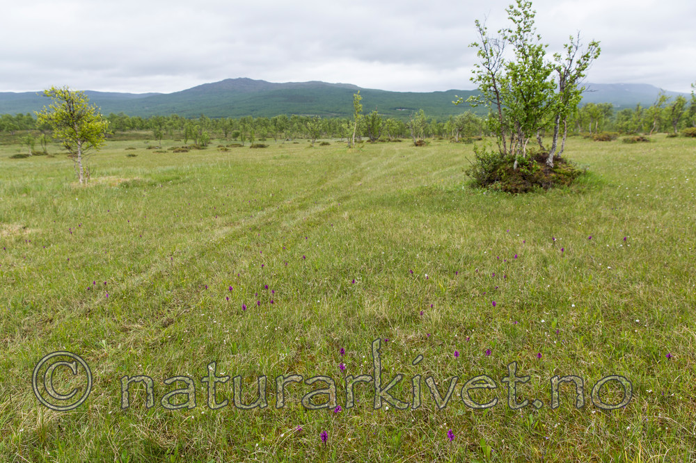 KA_150709_49
