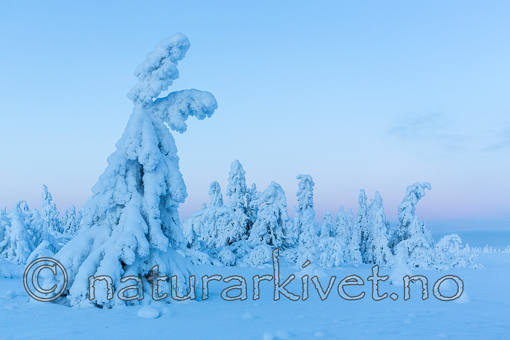 KA_160109_138