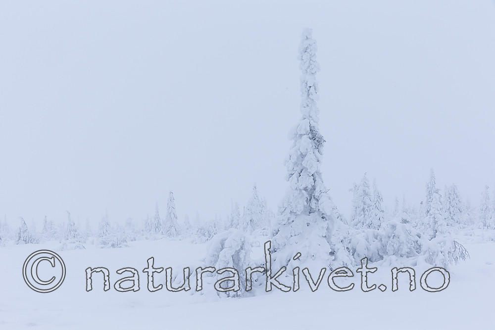 KA_160110_13