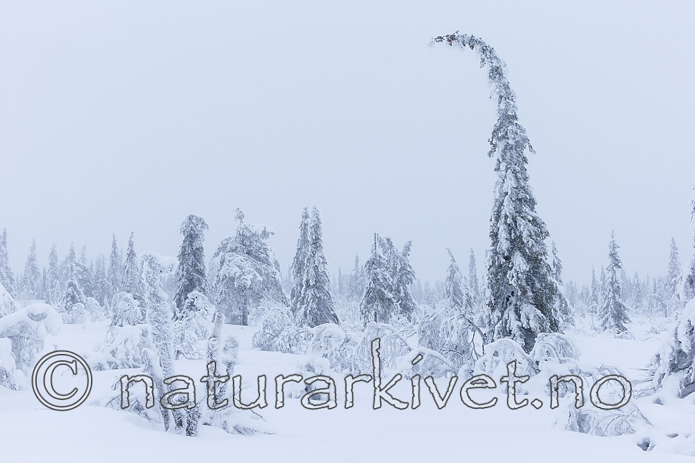 KA_160110_7