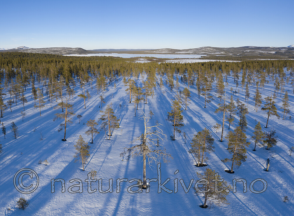 KA_190414_p66-74