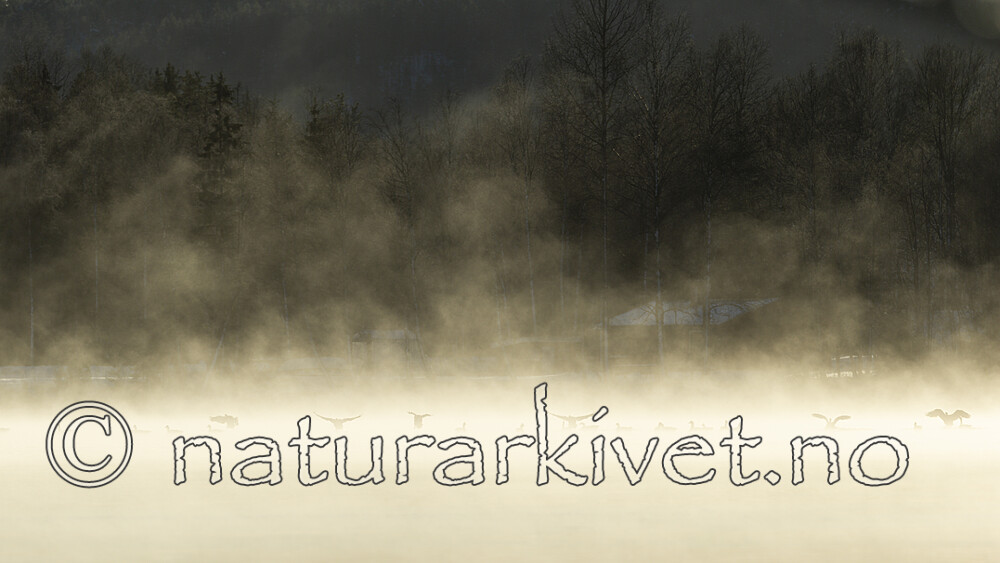KA_191129_26