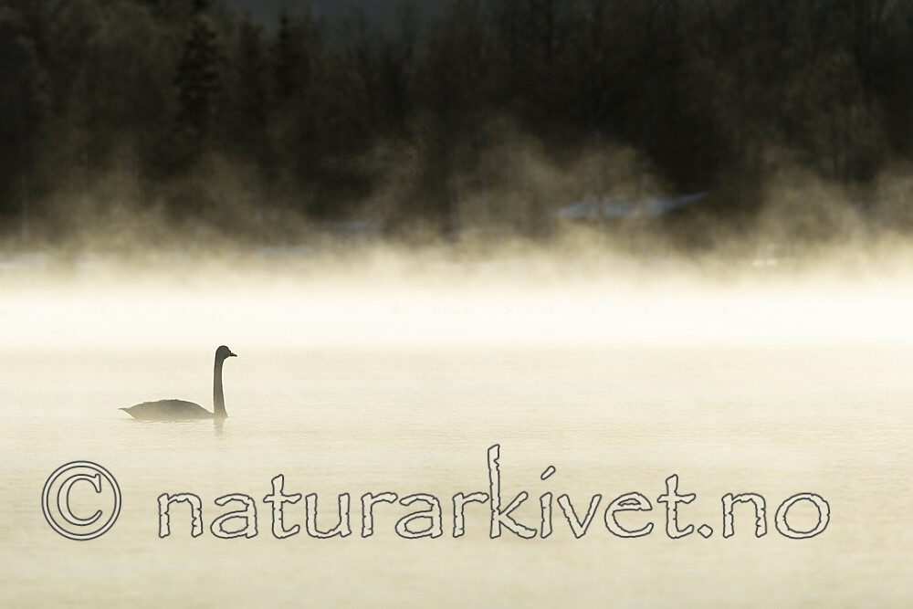 KA_191129_28