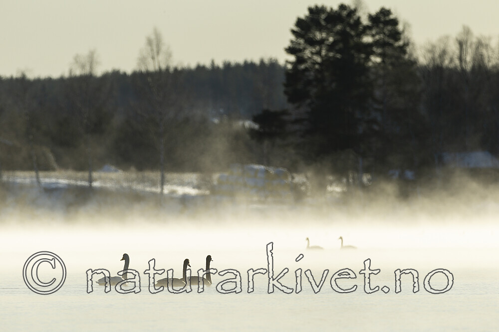 KA_191129_30