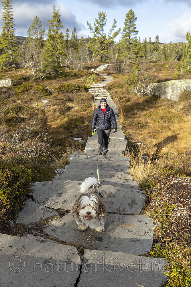 KA_211016_2 / Canis lupus familiaris / Hund