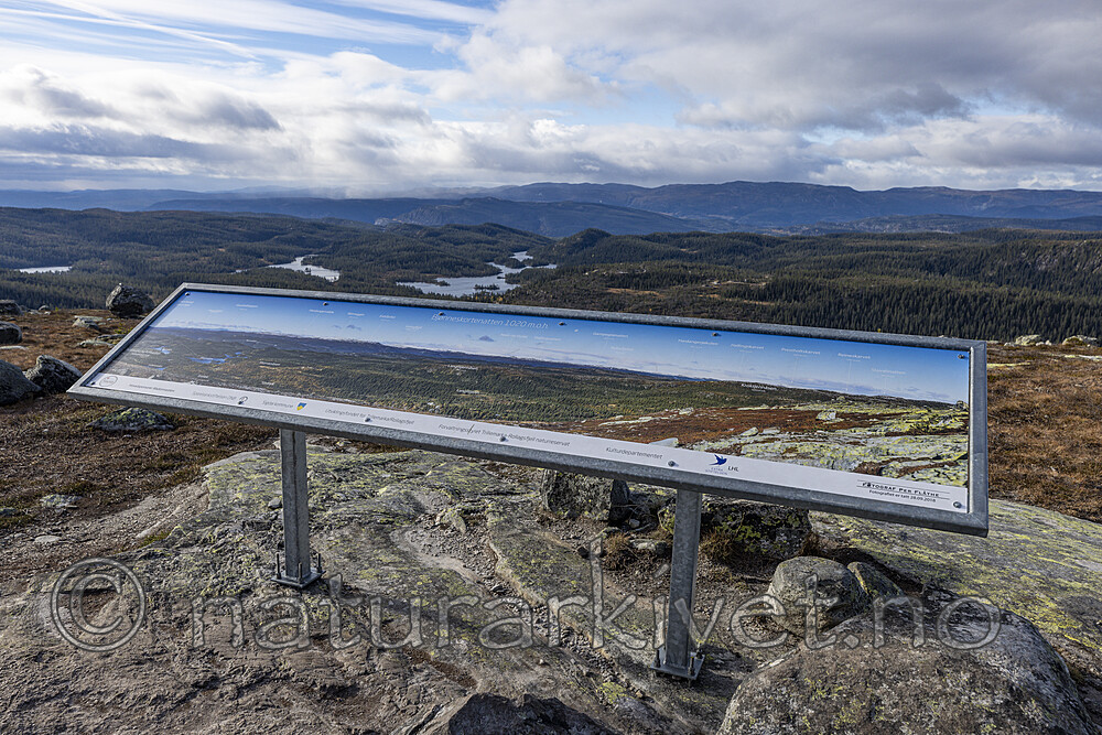 KA_211016_27 / Canis lupus familiaris / Hund