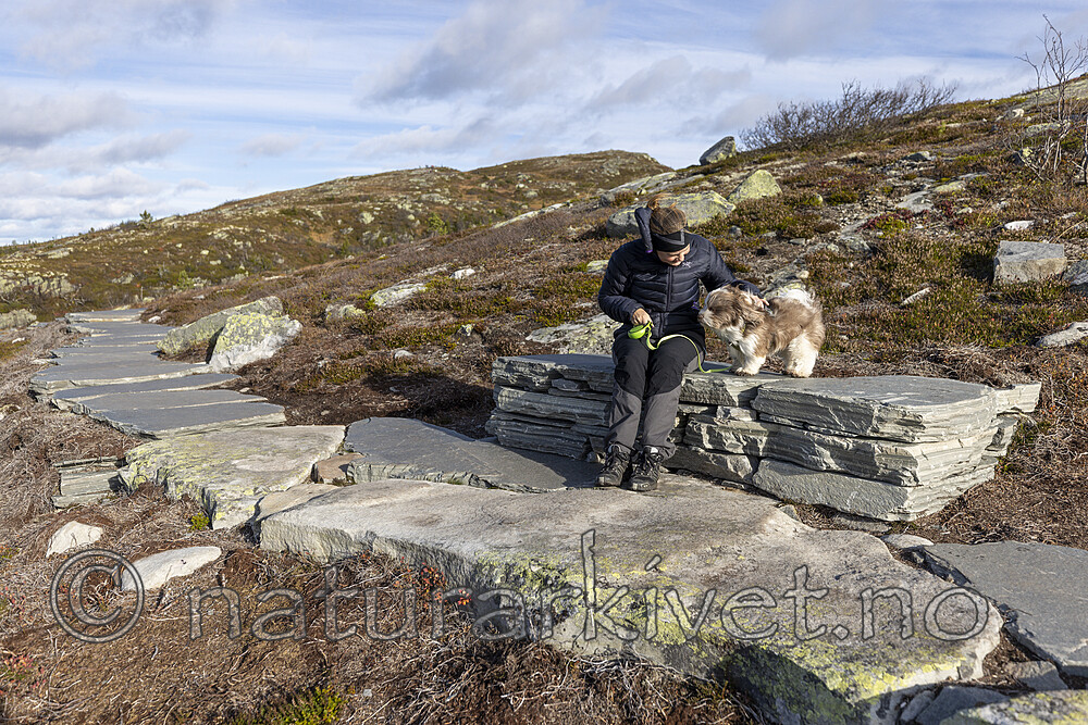 KA_211016_46 / Canis lupus familiaris / Hund <br /> Diplopteraster multipes