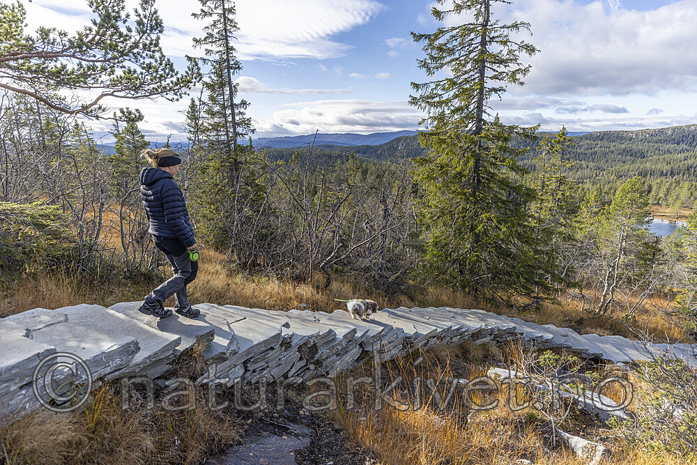 KA_211016_57 / Canis lupus familiaris / Hund