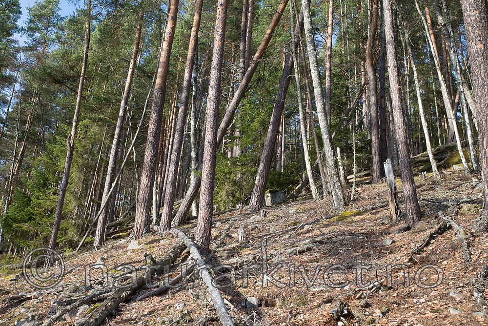 SIG_0948